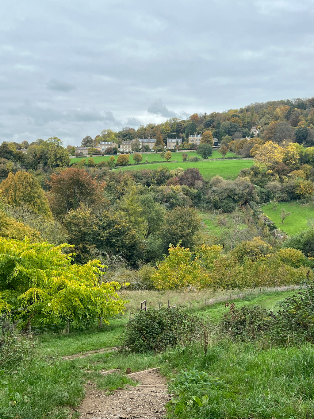 SMALLCOMBE NUTTERY WALNUT - AUTUMN