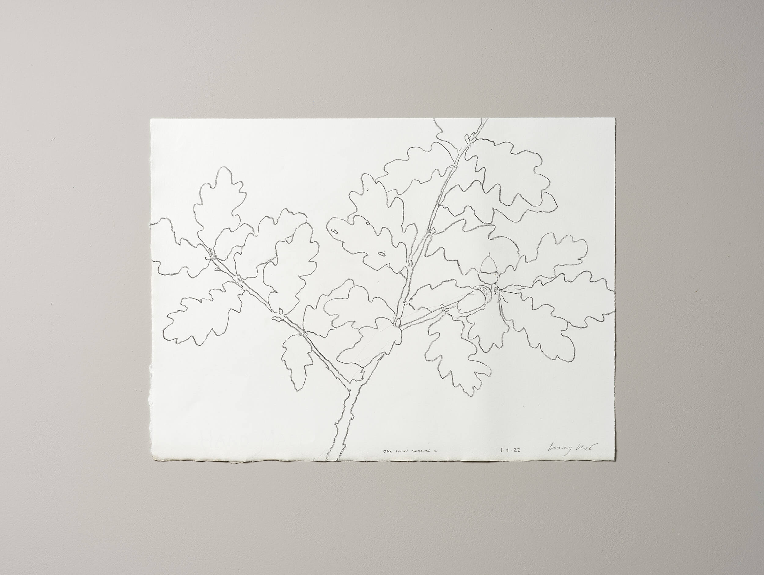 Contemporary Fine Art graphite artwork by Lucy Auge inspired by seasonal landscape observation
