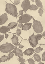 A Peaceful Elm