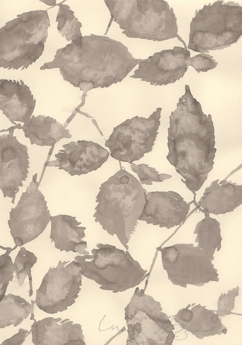 A Peaceful Elm