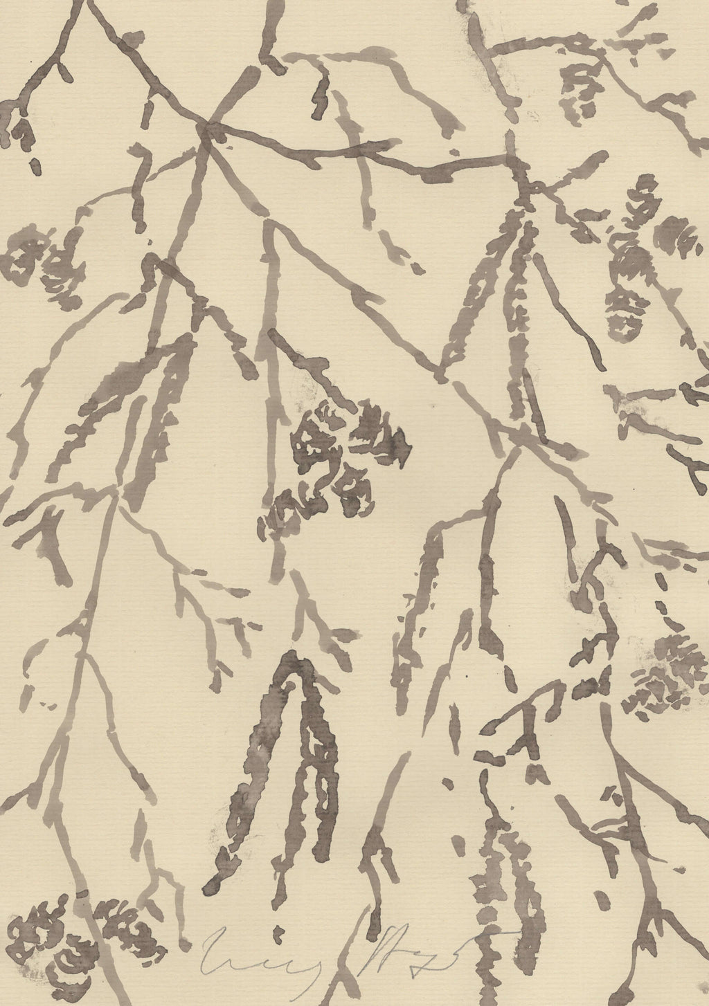 RED ALDER ALONG THE RIVERBANK