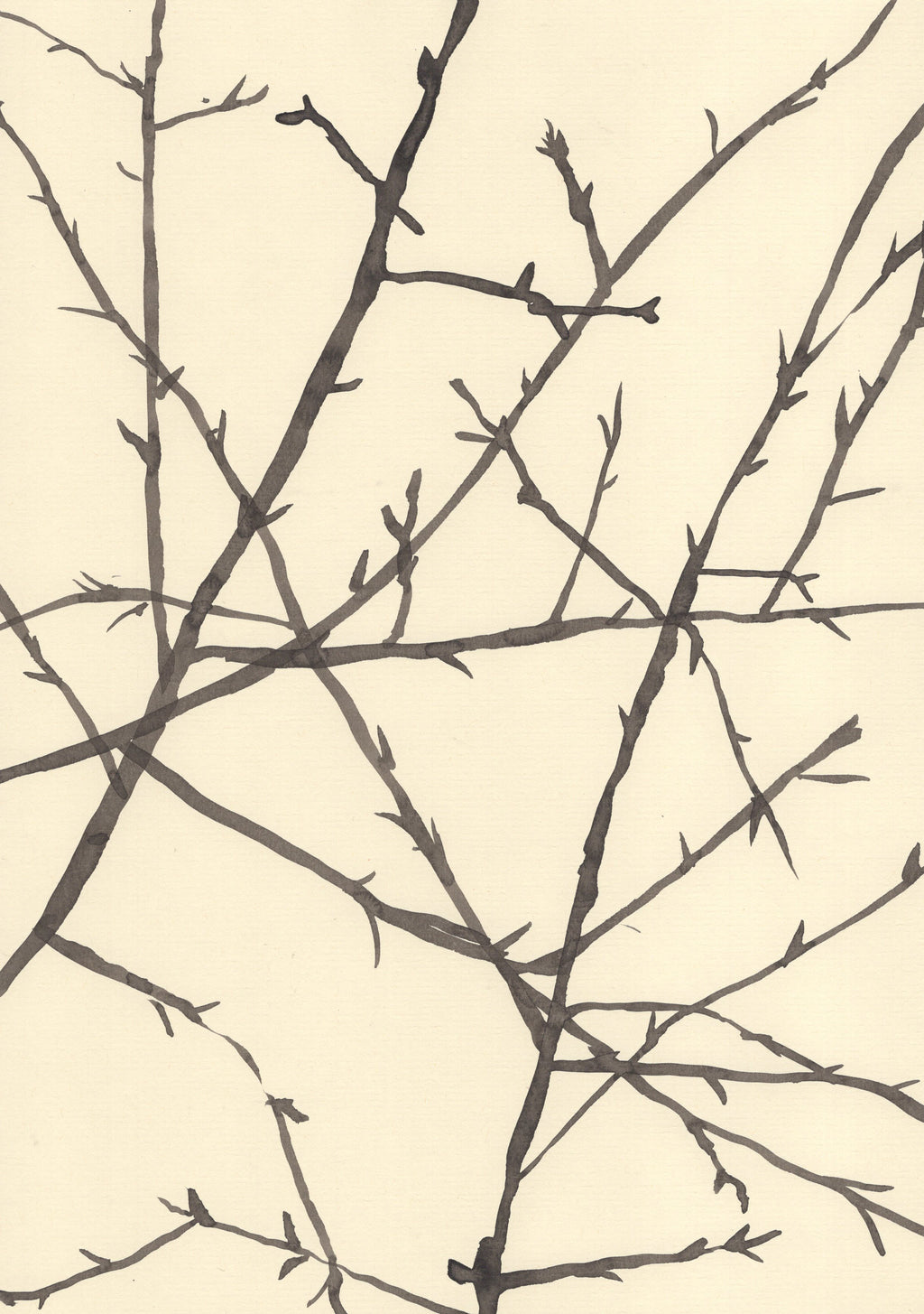 HAWTHORN BEFORE SPRING