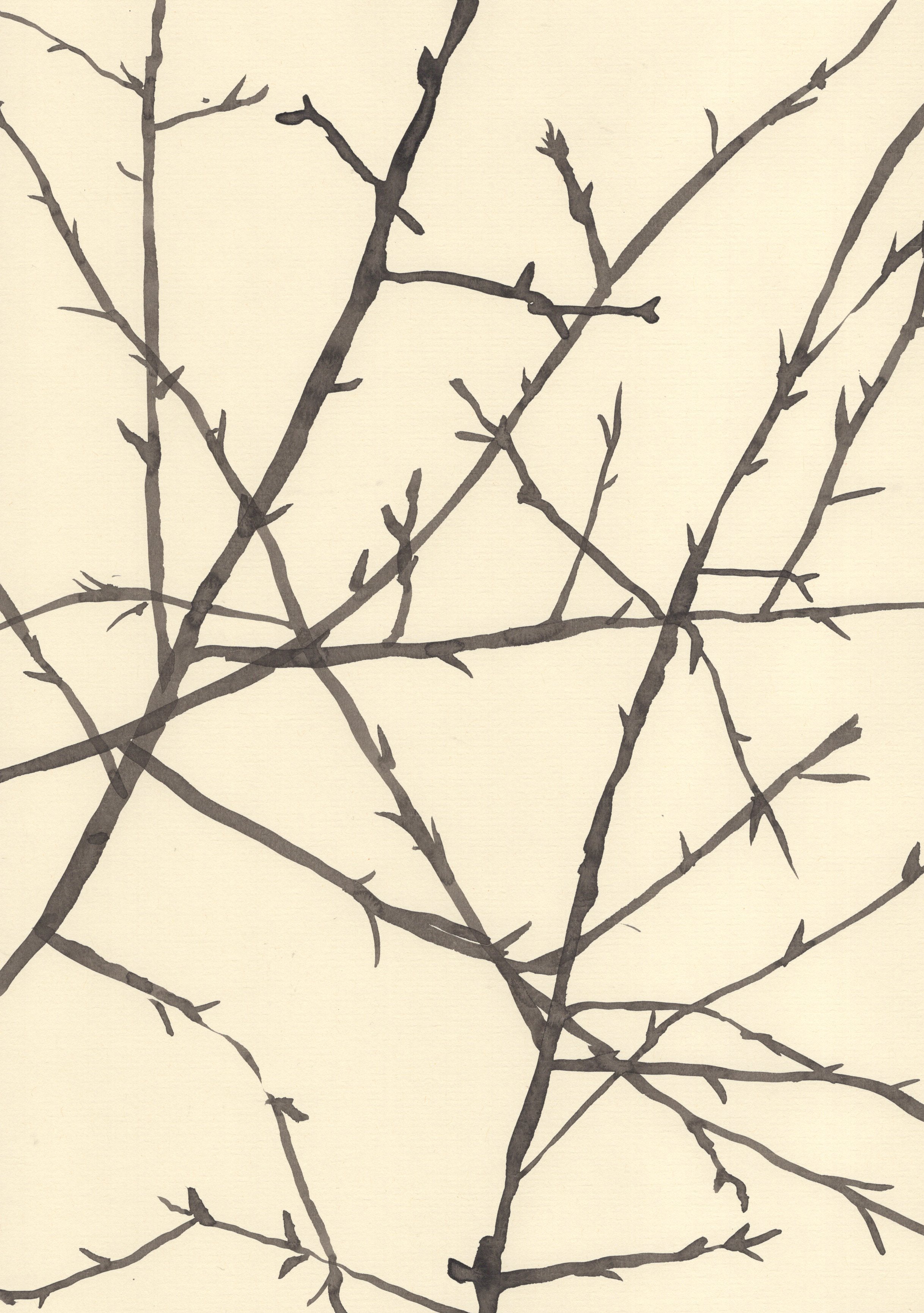 HAWTHORN BEFORE SPRING