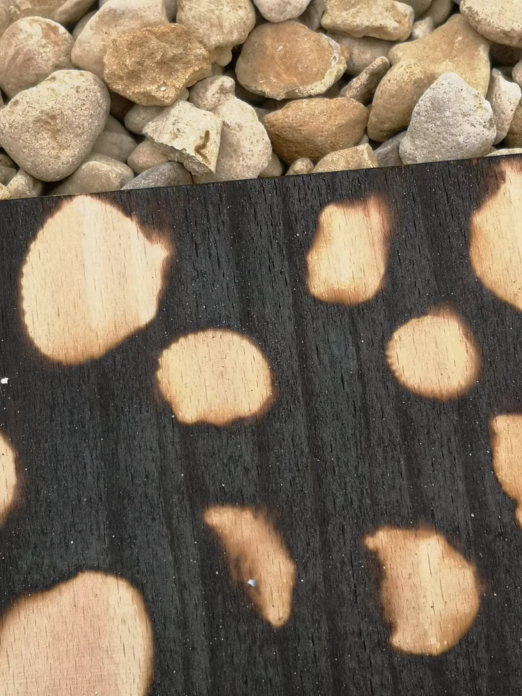 SHELL BEACH PANEL 2