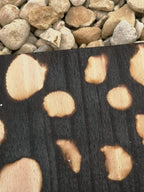 SHELL BEACH PANEL 2