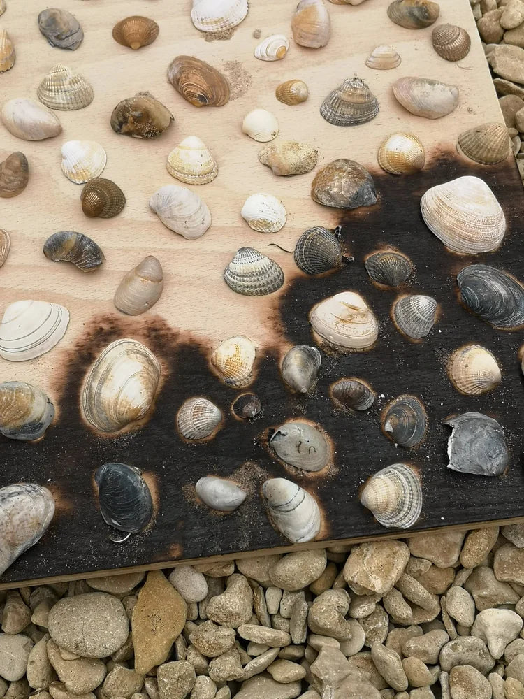 SHELL BEACH PANEL 2