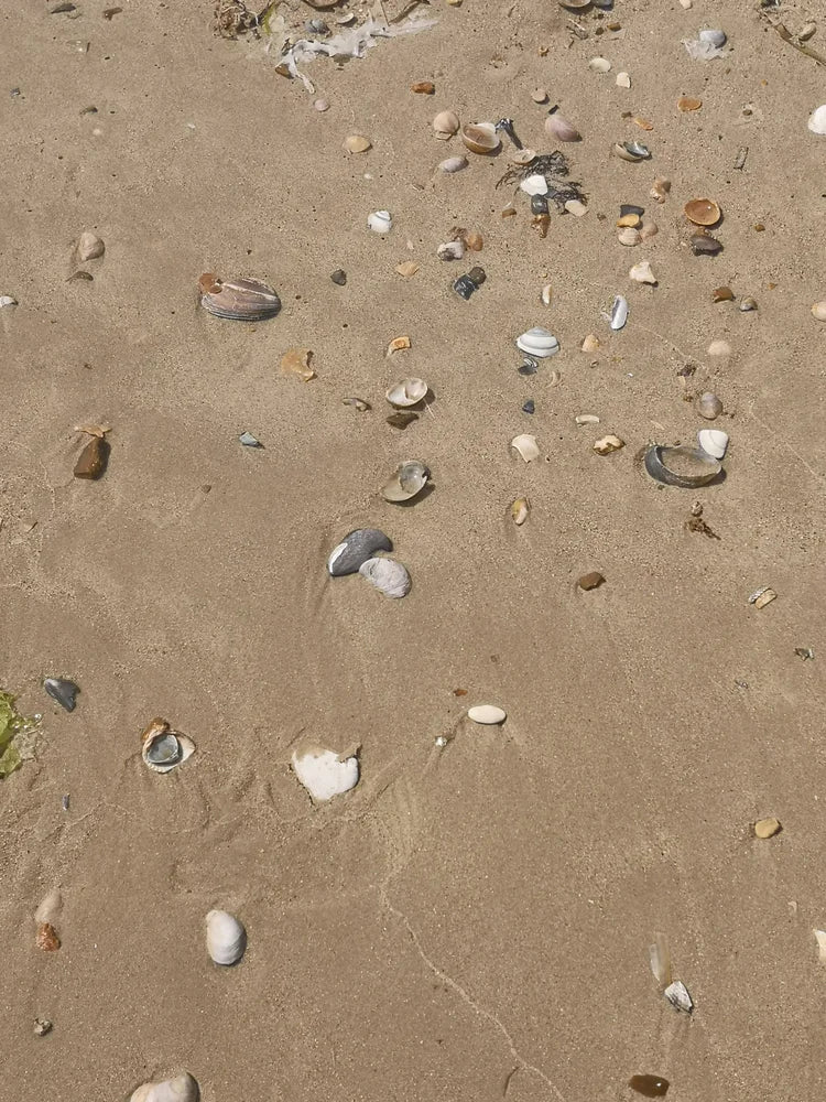 SHELL BEACH PANEL 2