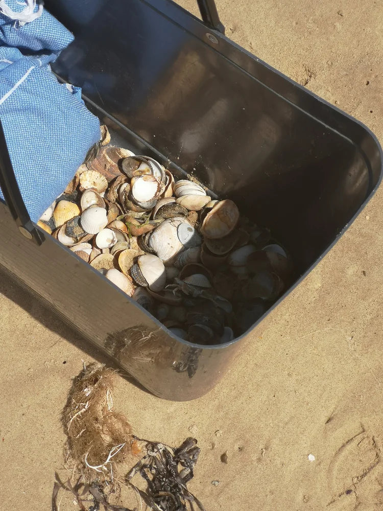 SHELL BEACH PANEL 2