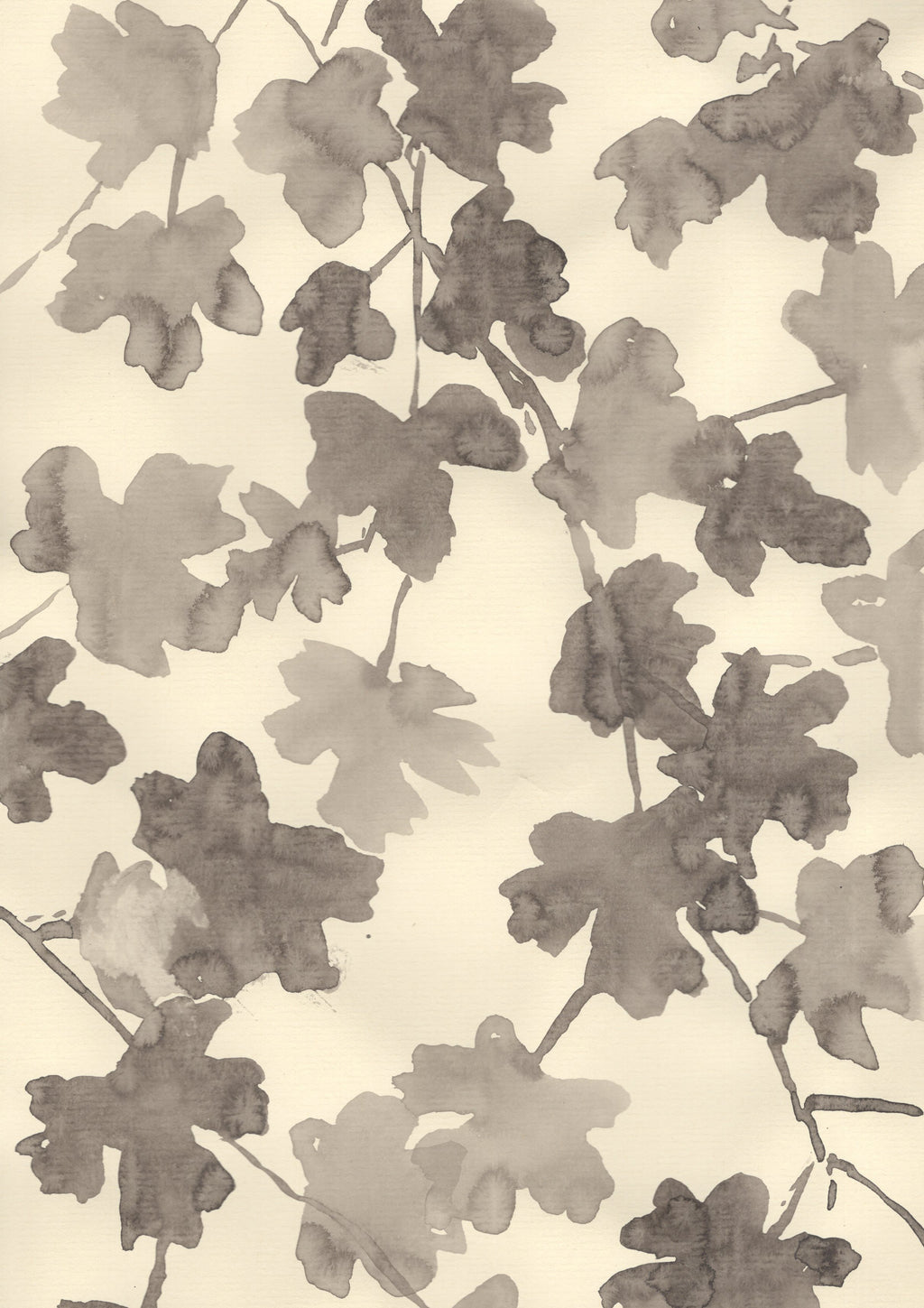 STARS OF THE HEDGEROW