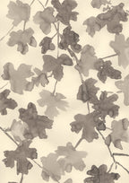 STARS OF THE HEDGEROW
