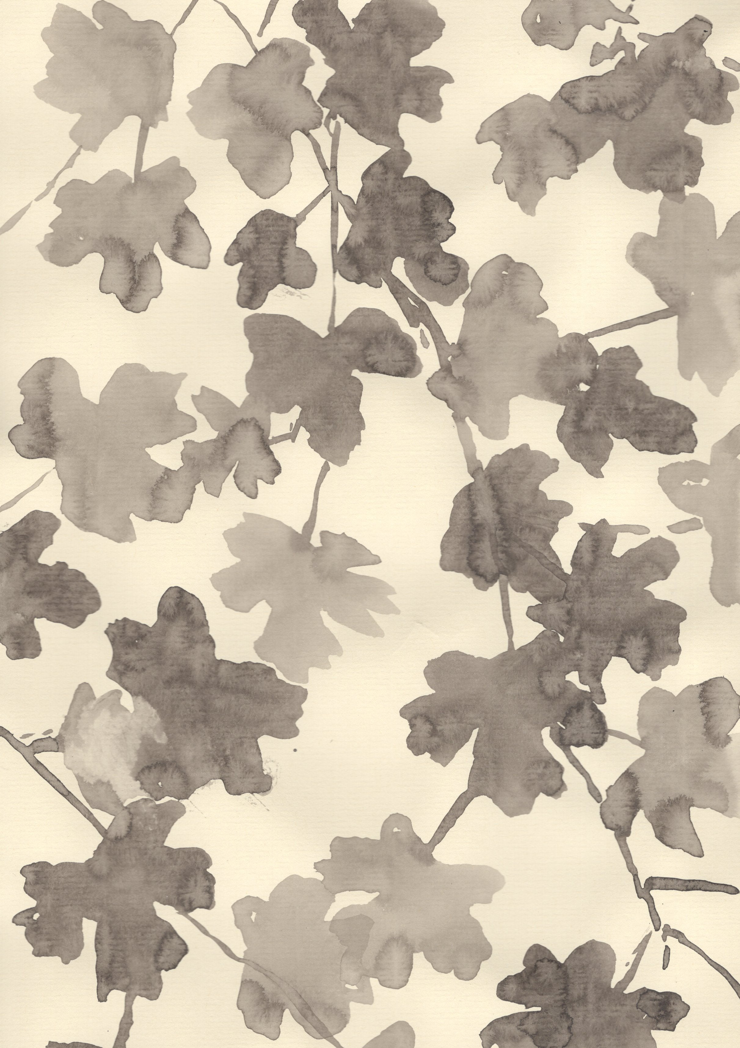 STARS OF THE HEDGEROW