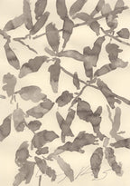 WALKING ALONG THE HEDGEROW WITH BLACKTHORN IN SUMMER