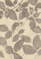 A Summer Canopy