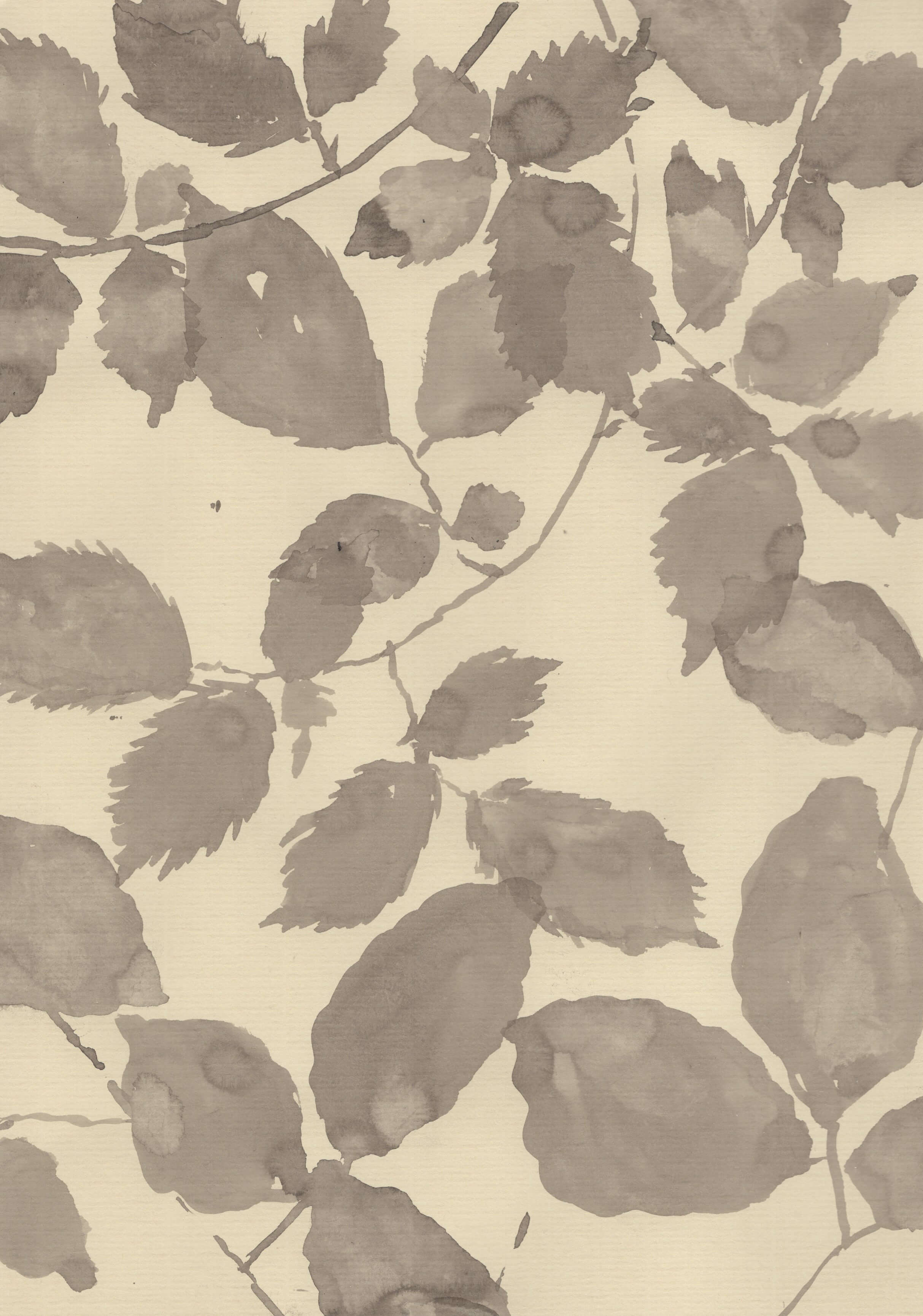 A Summer Canopy