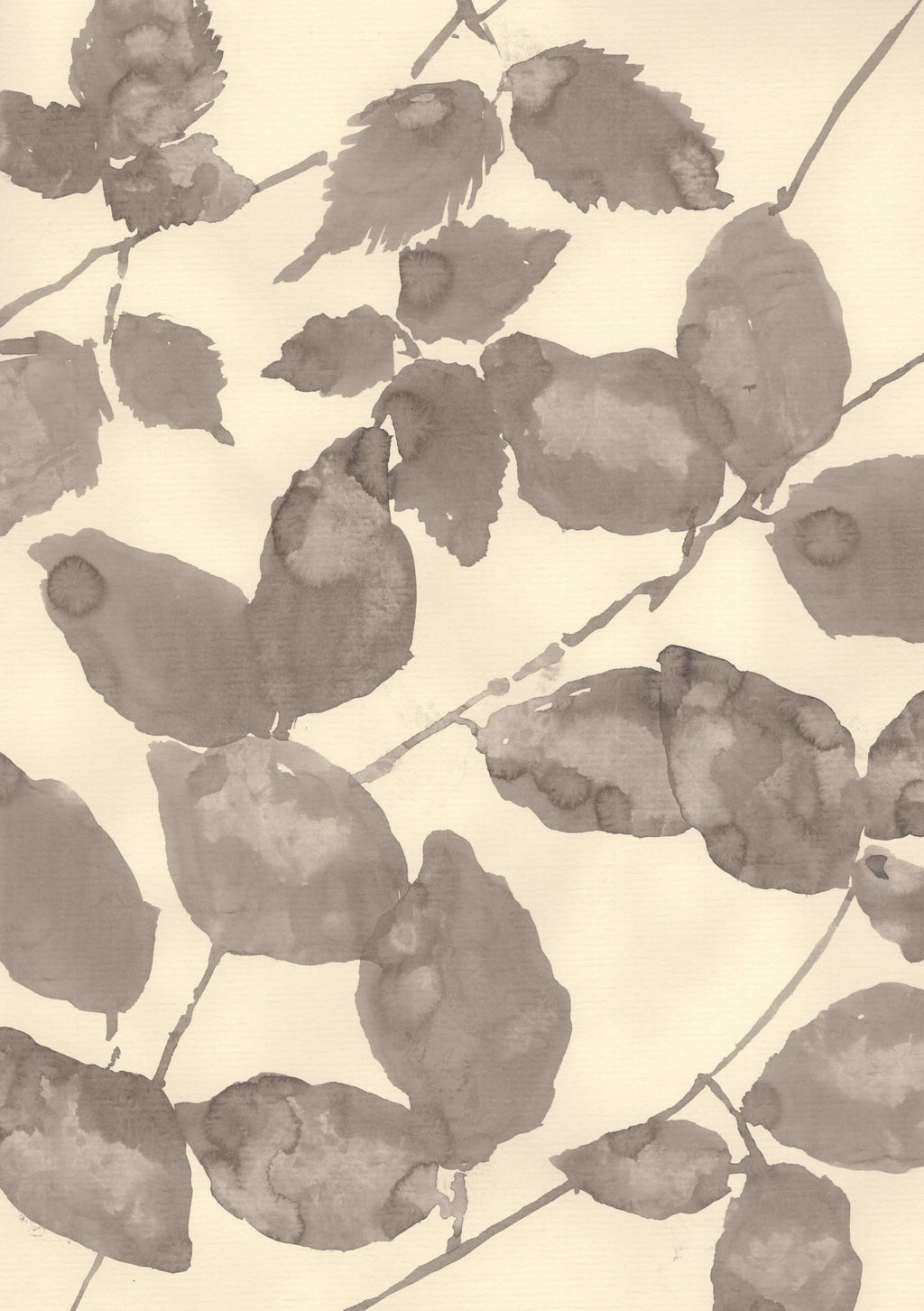 A Summer Canopy