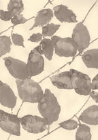 A Summer Canopy