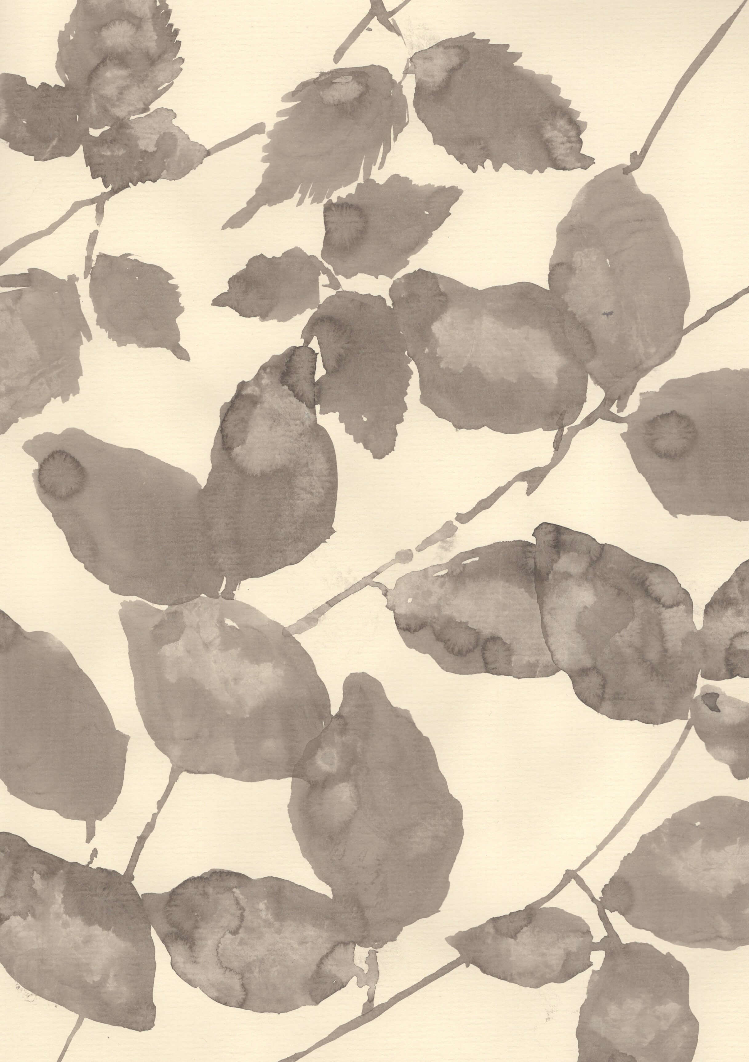 A Summer Canopy