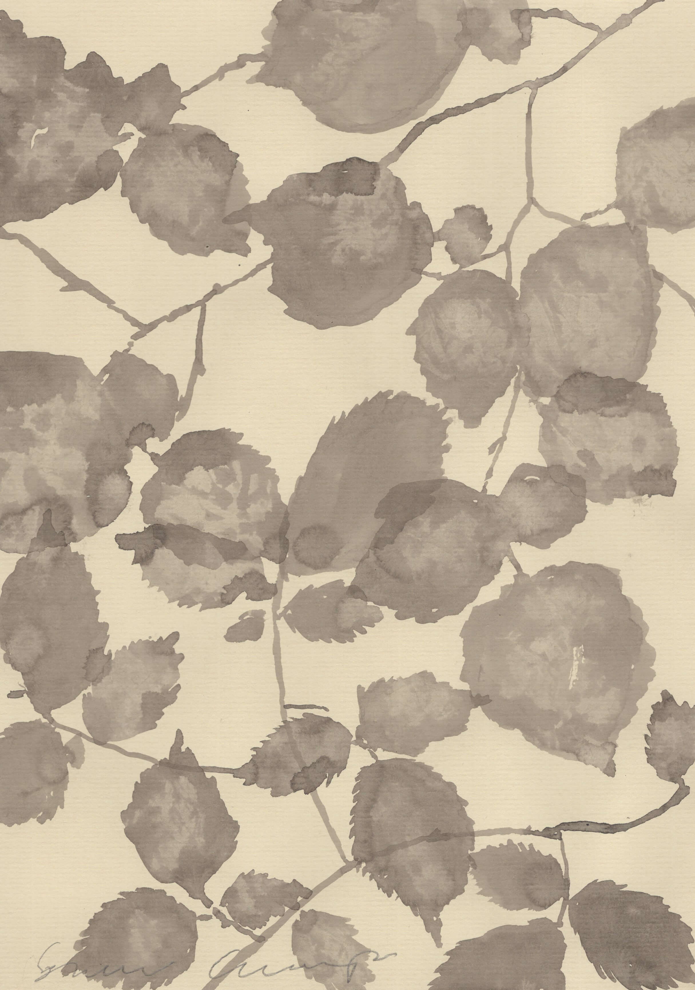 A Summer Canopy