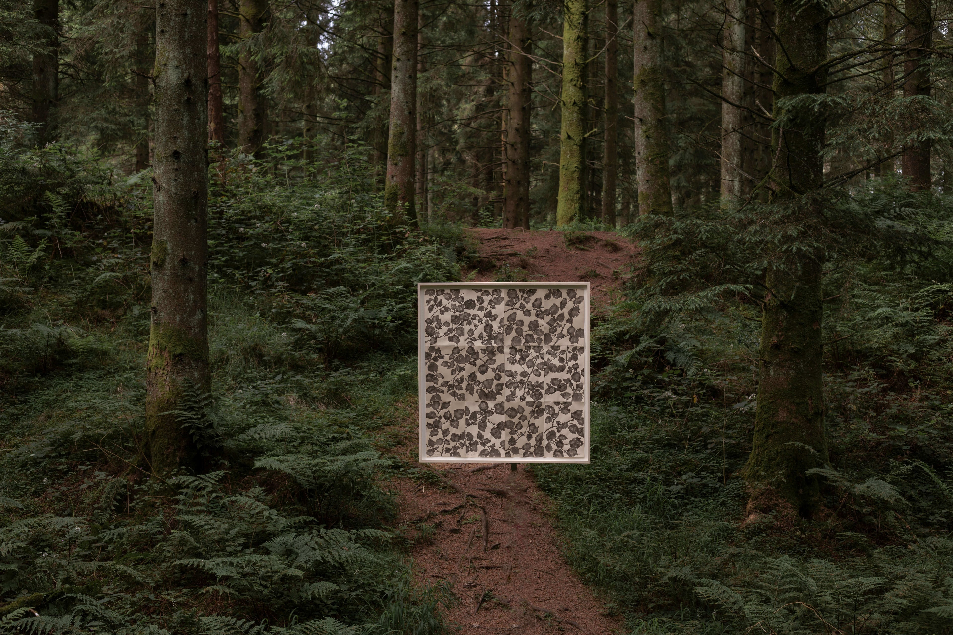 Minimal abstract painting connected to observation of nature and sense of place