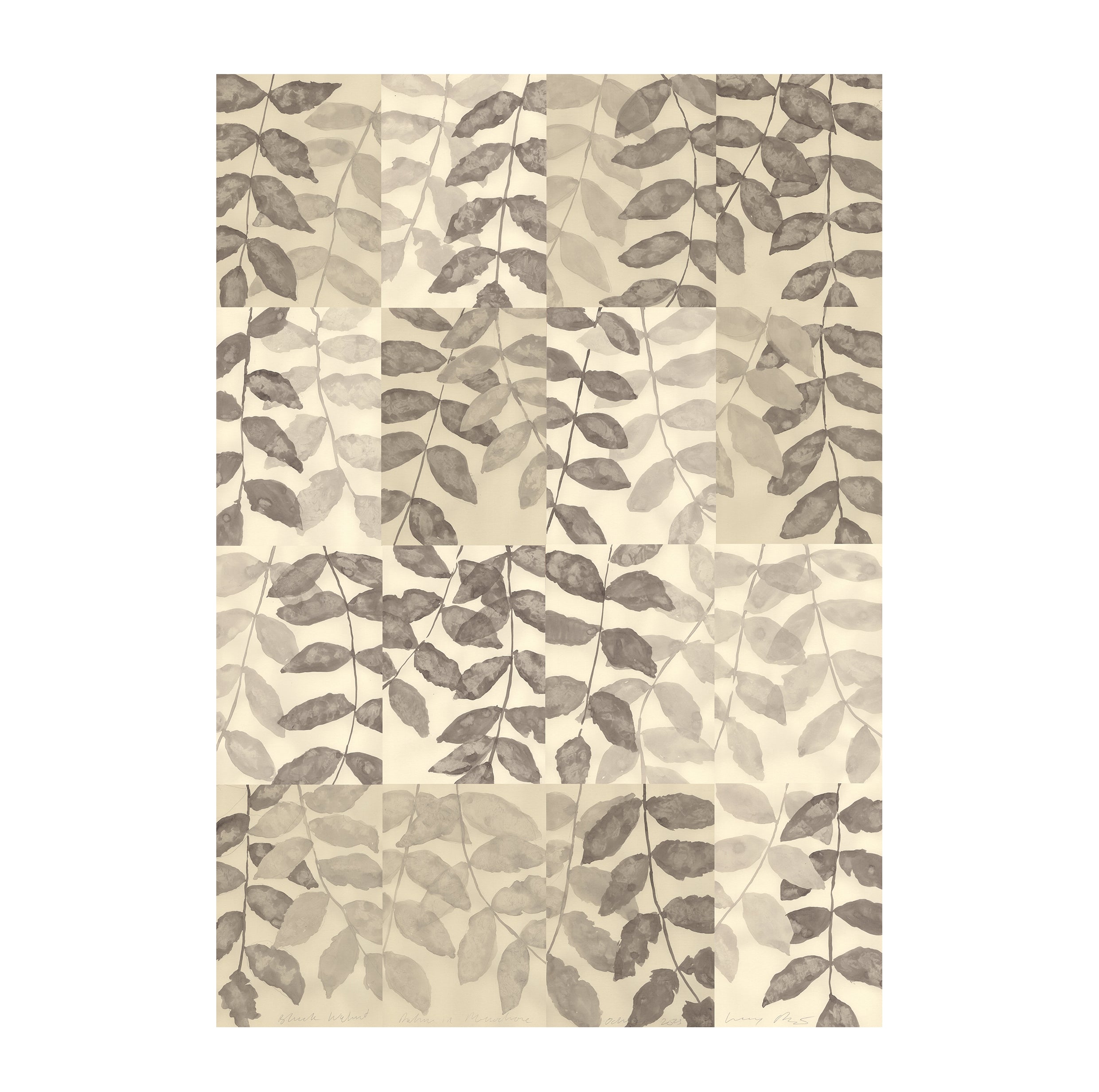 MONOCHROME AUTUMN - BLACK WALNUT