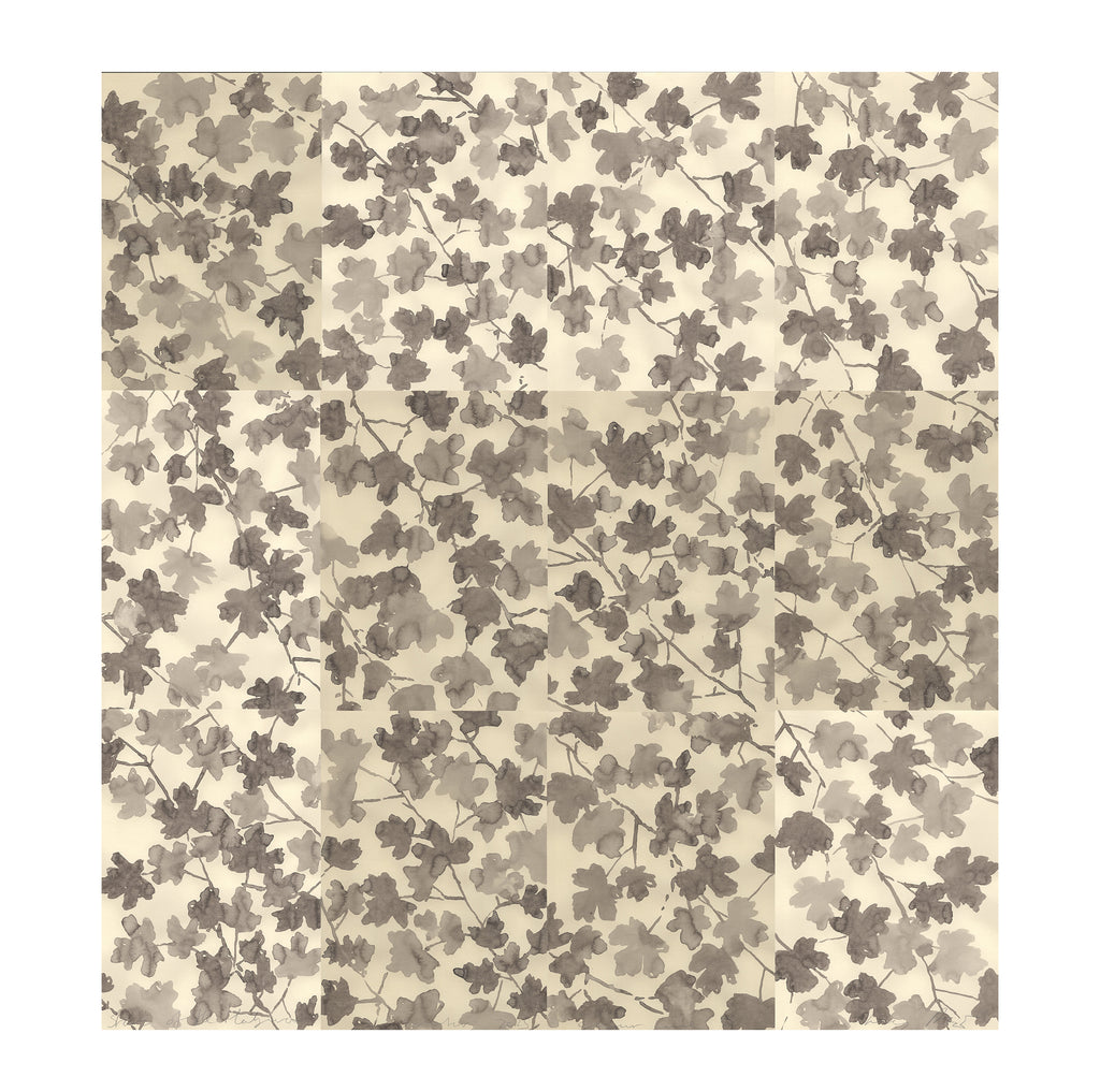 STARS OF THE HEDGEROW
