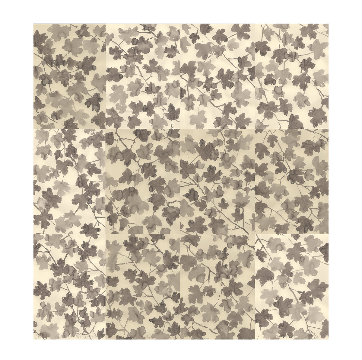 STARS OF THE HEDGEROW