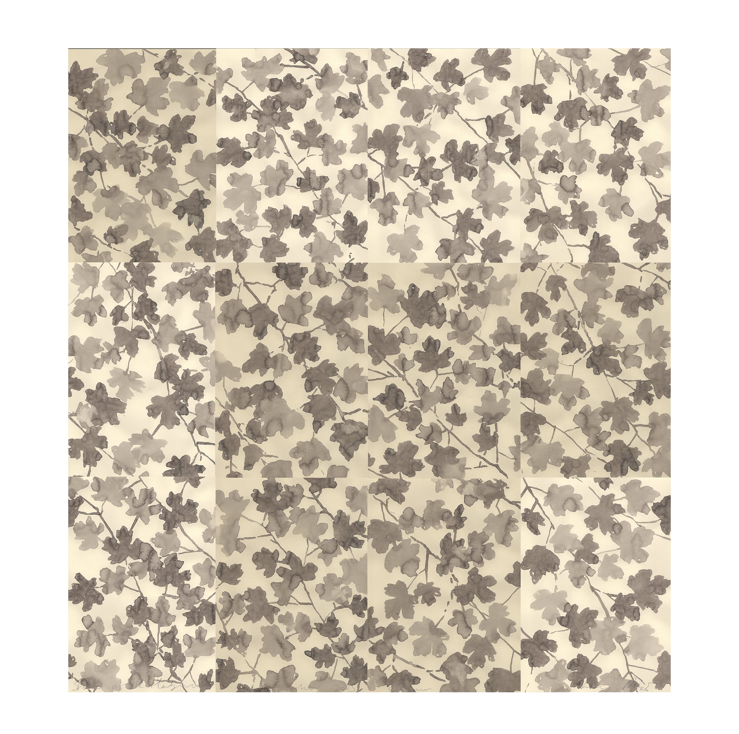 STARS OF THE HEDGEROW