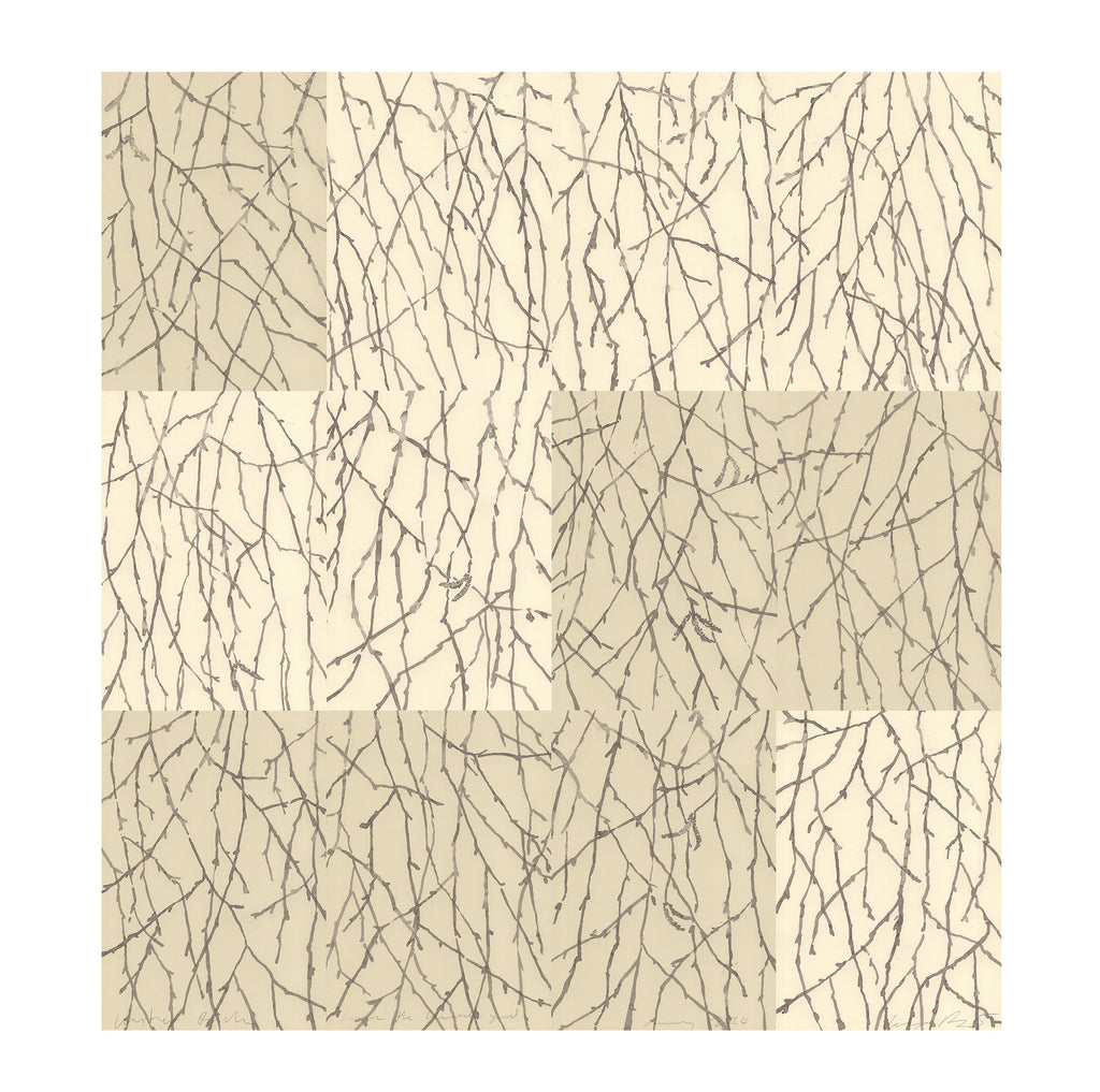 BIRCH IN WINTER
