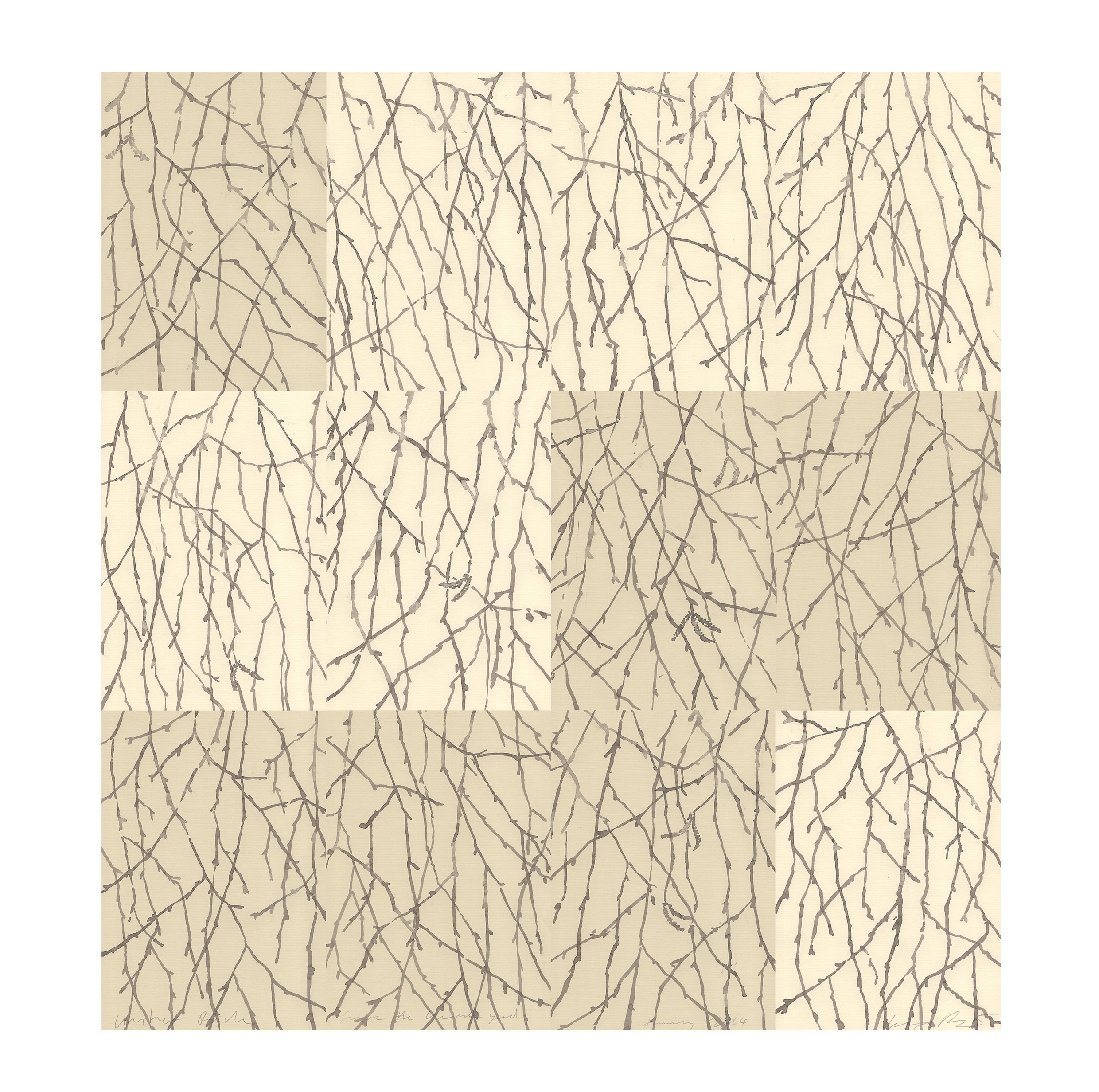 BIRCH IN WINTER