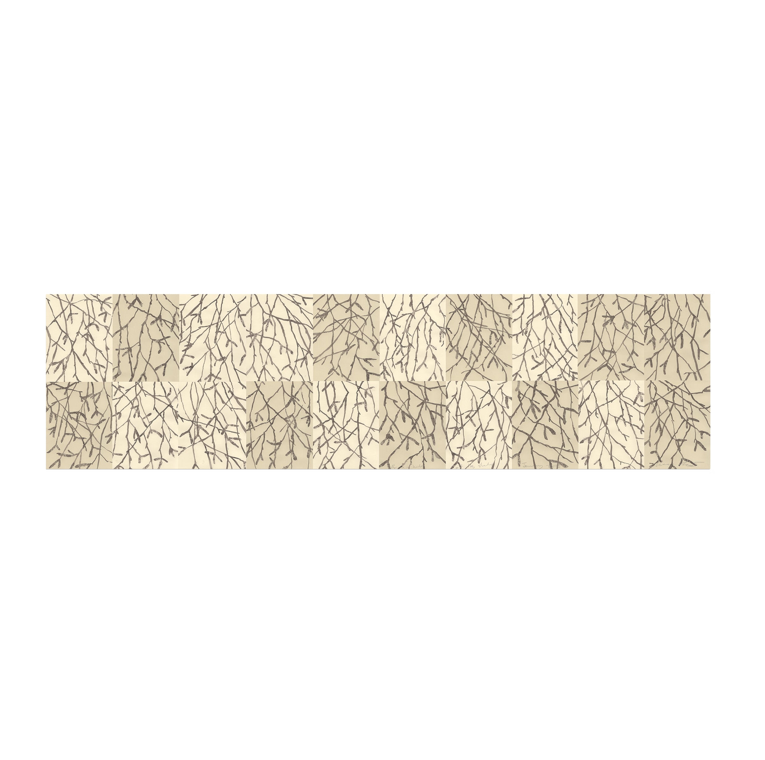 BIRCH IN WINTER AT THE OLD STUDIO