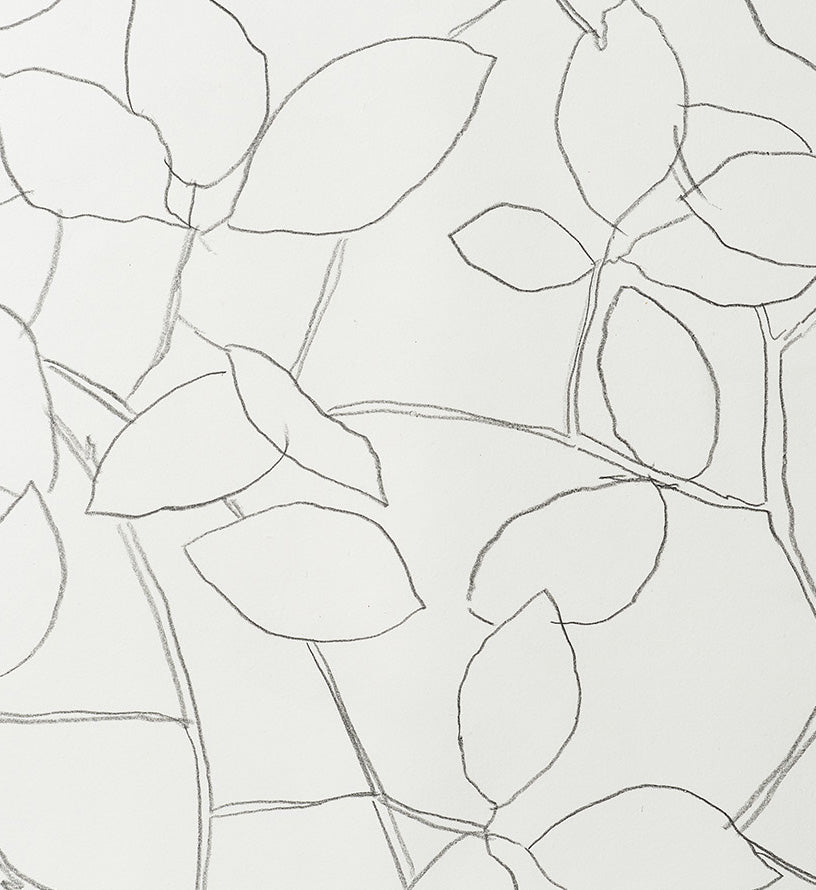 YOUNG BEECH UNDER TREES 2