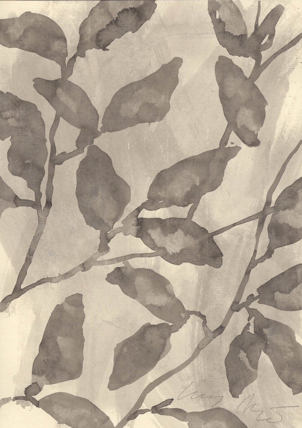 BEECH LEAVES IN THE FOG