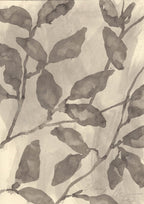 BEECH LEAVES IN THE FOG