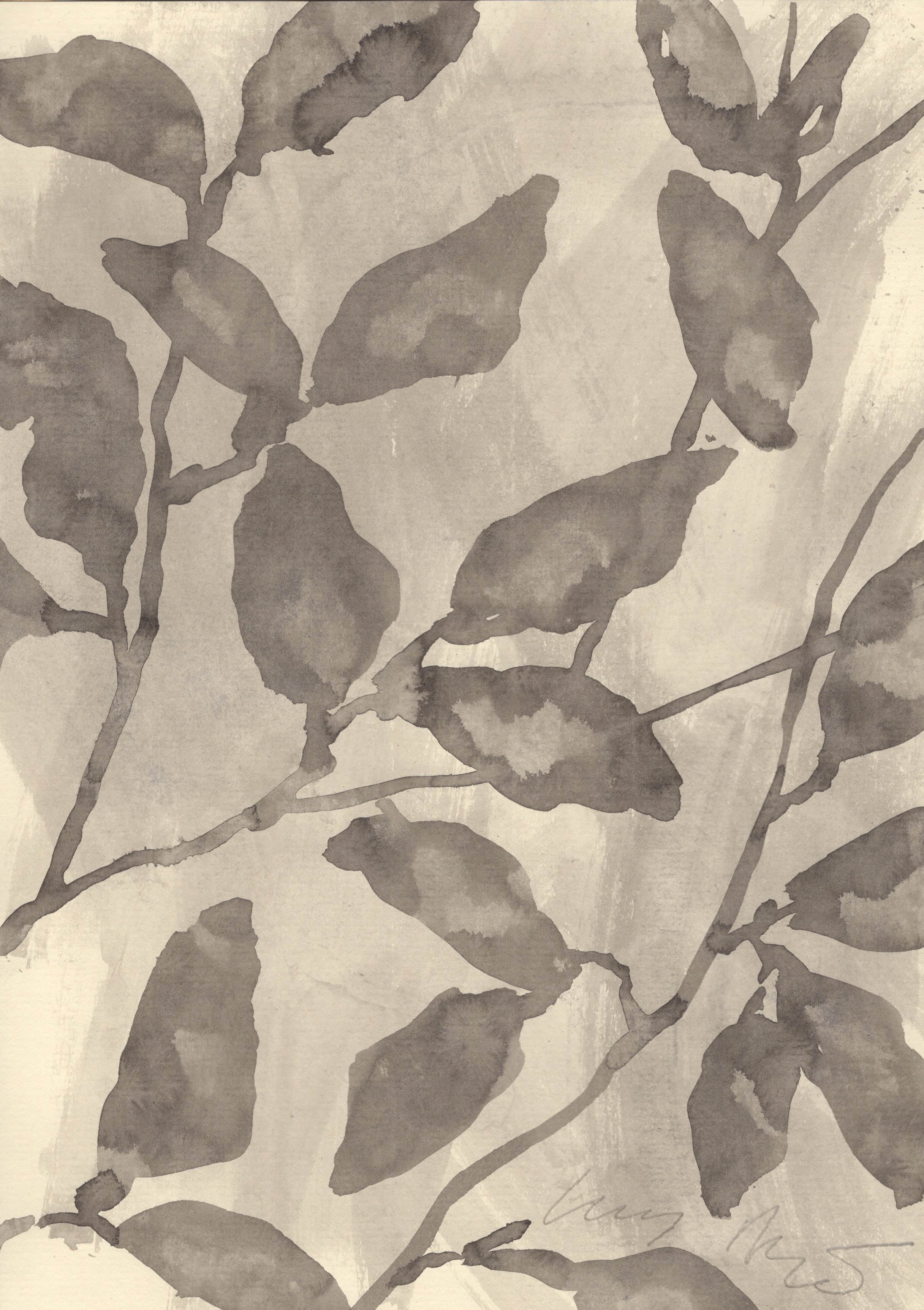 BEECH LEAVES IN THE FOG