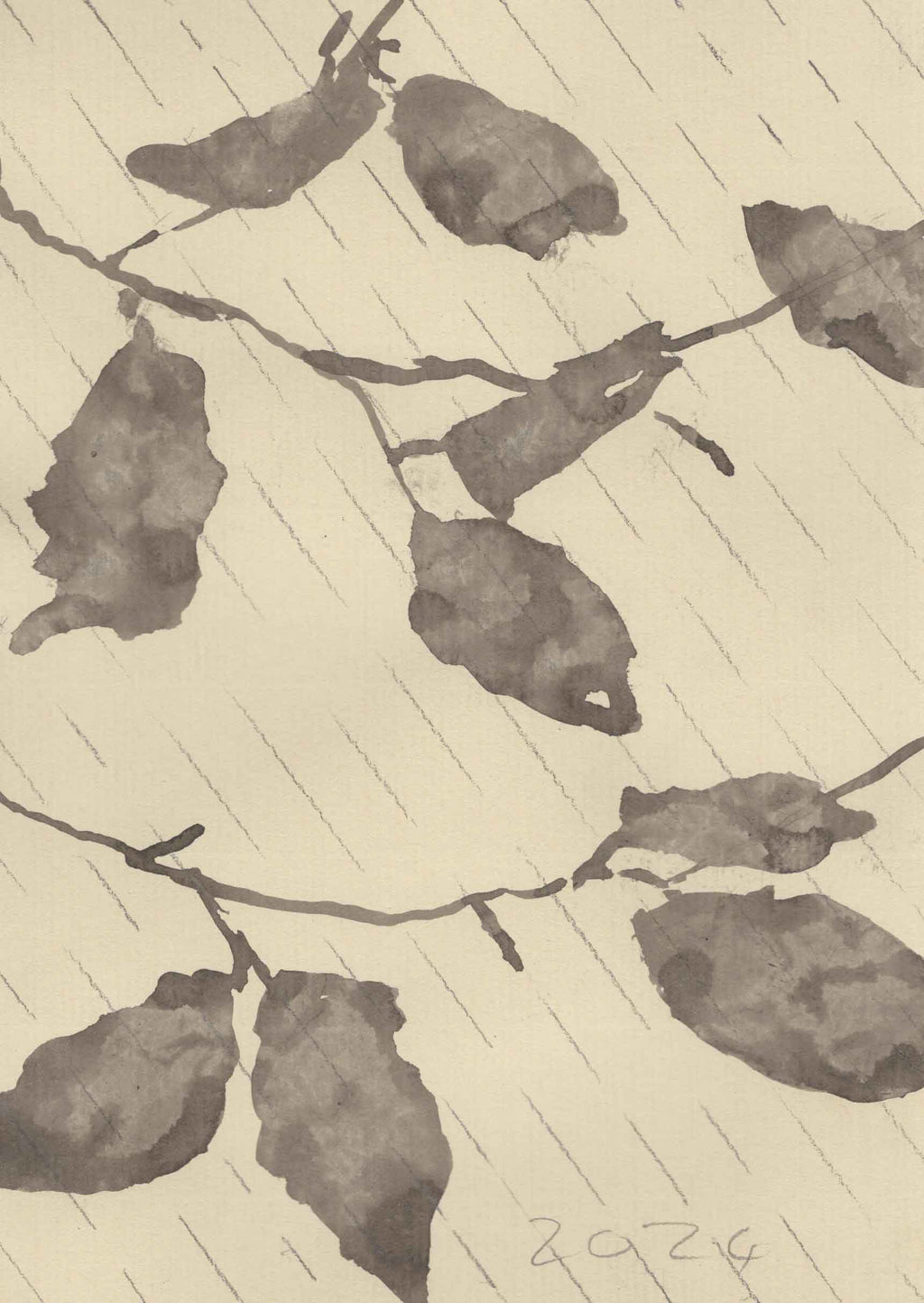 BEECH IN THE WIND AND RAIN