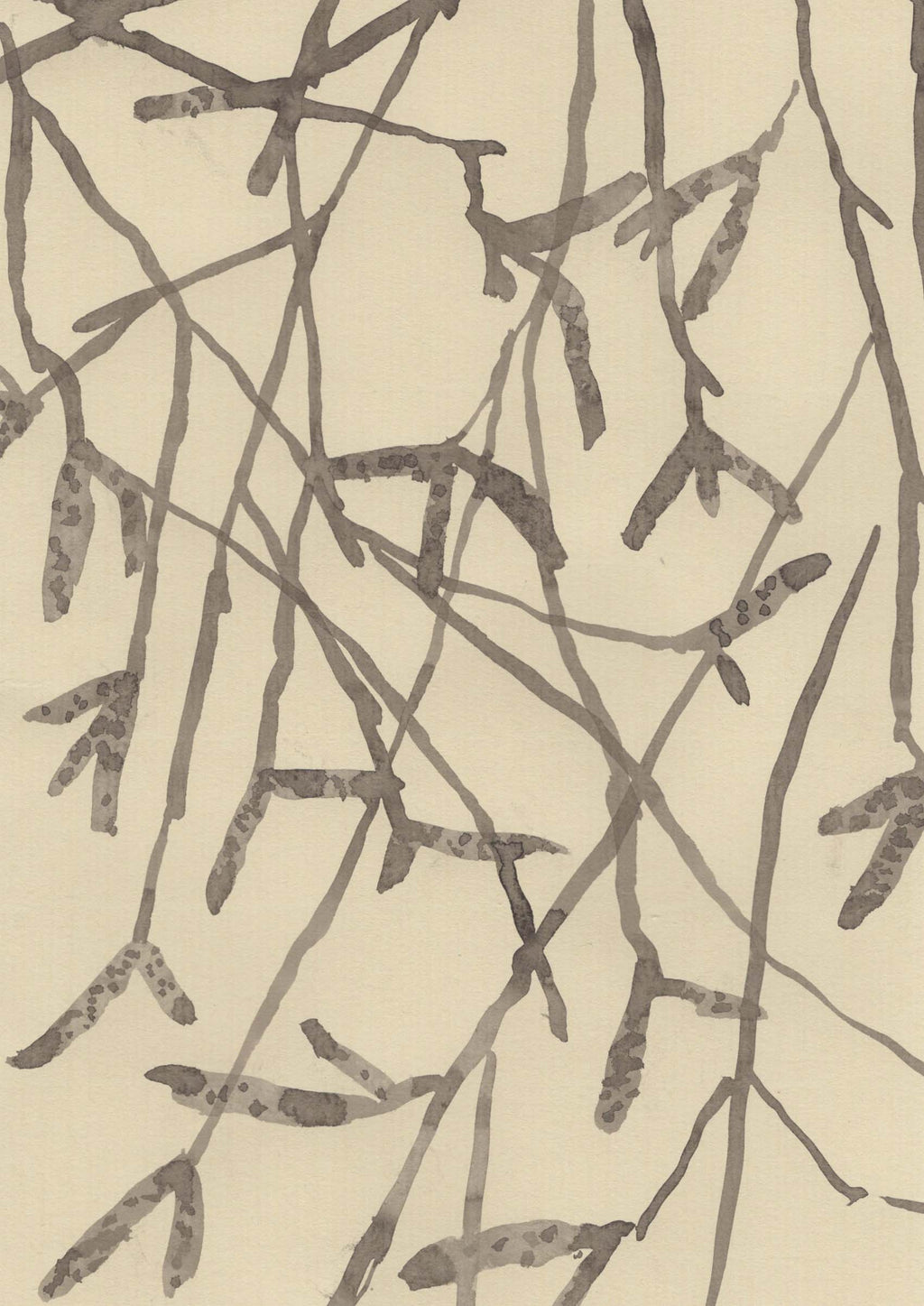 BIRCH IN WINTER AT THE OLD STUDIO