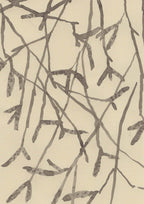 BIRCH IN WINTER AT THE OLD STUDIO