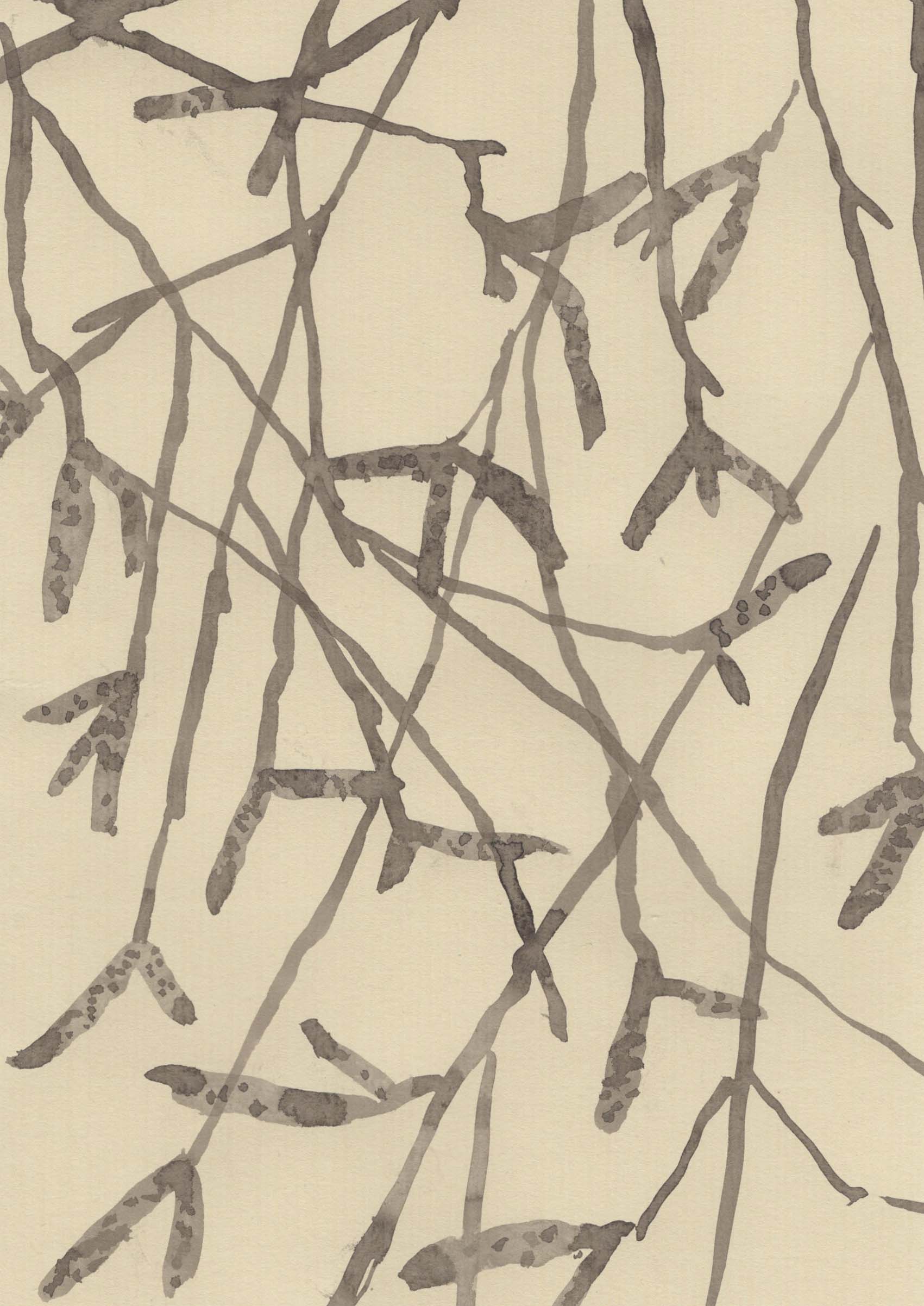 BIRCH IN WINTER AT THE OLD STUDIO