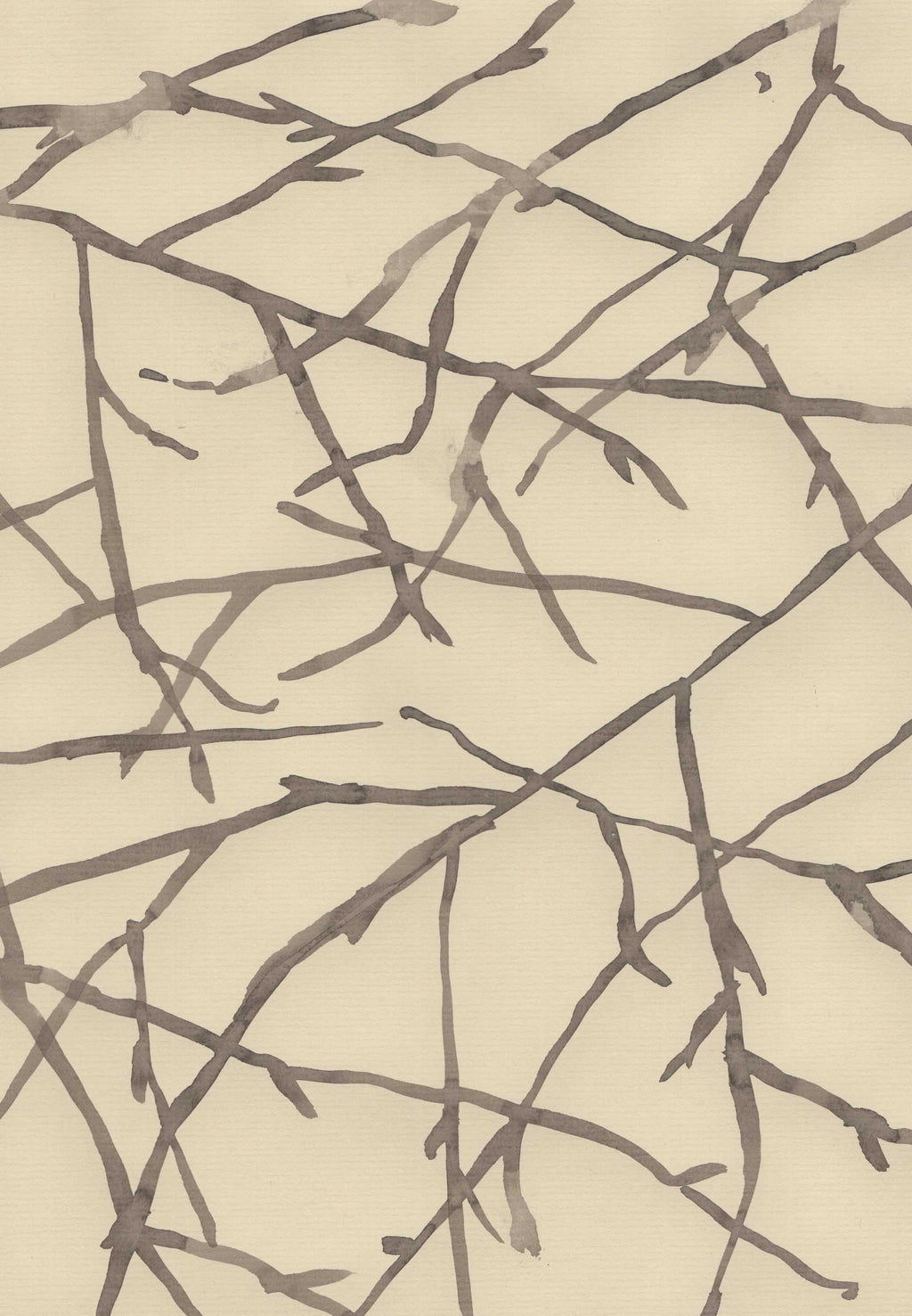 SPIDER WEB OF WINTER HAZEL