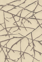 SPIDER WEB OF WINTER HAZEL