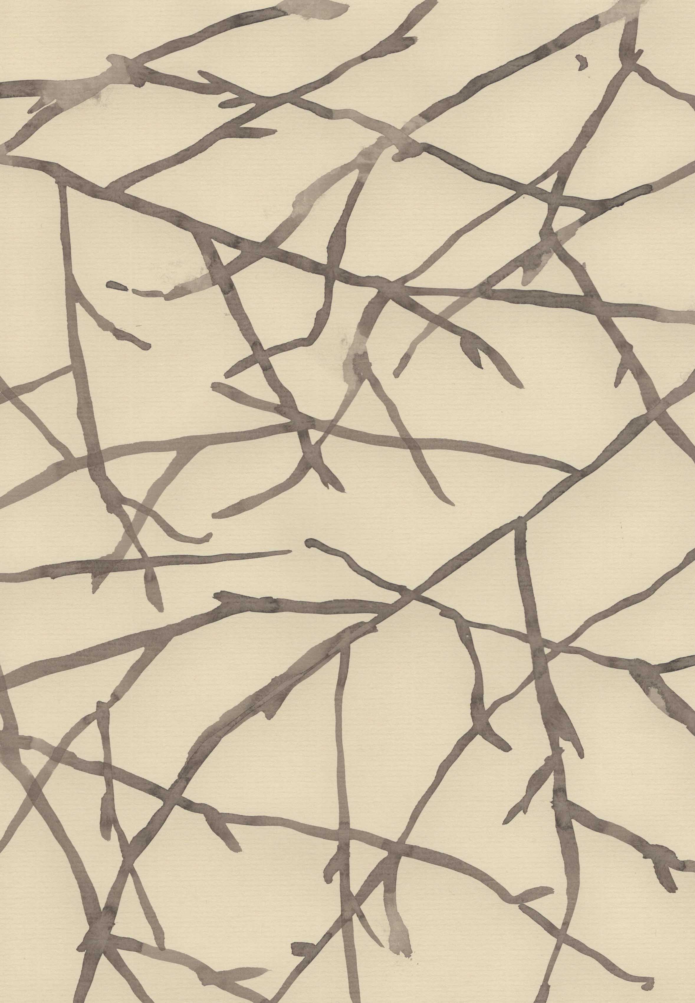 SPIDER WEB OF WINTER HAZEL