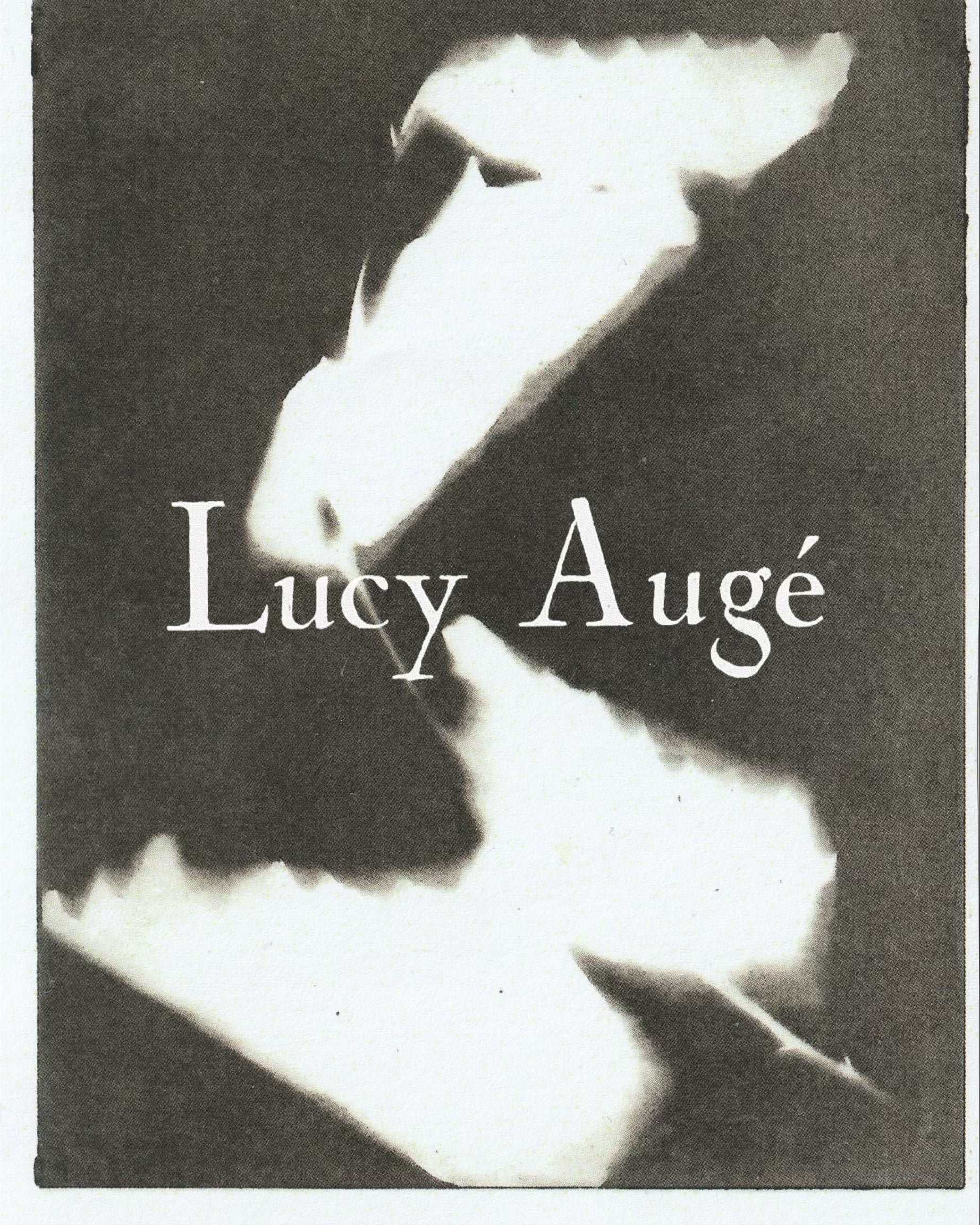 Contemporary botanical etching by UK artist Lucy Auge, inspired by Dan Pearson’s garden