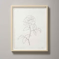 ROSE WITH NIBBLED LEAVES