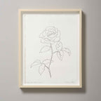 ROSE WITH NIBBLED LEAVES